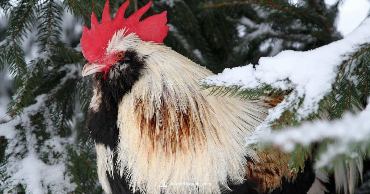 Winterize Faucets - Faucet Fix Guide