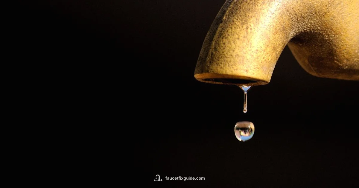 Faucet Drip Fix - Faucet Fix Guide