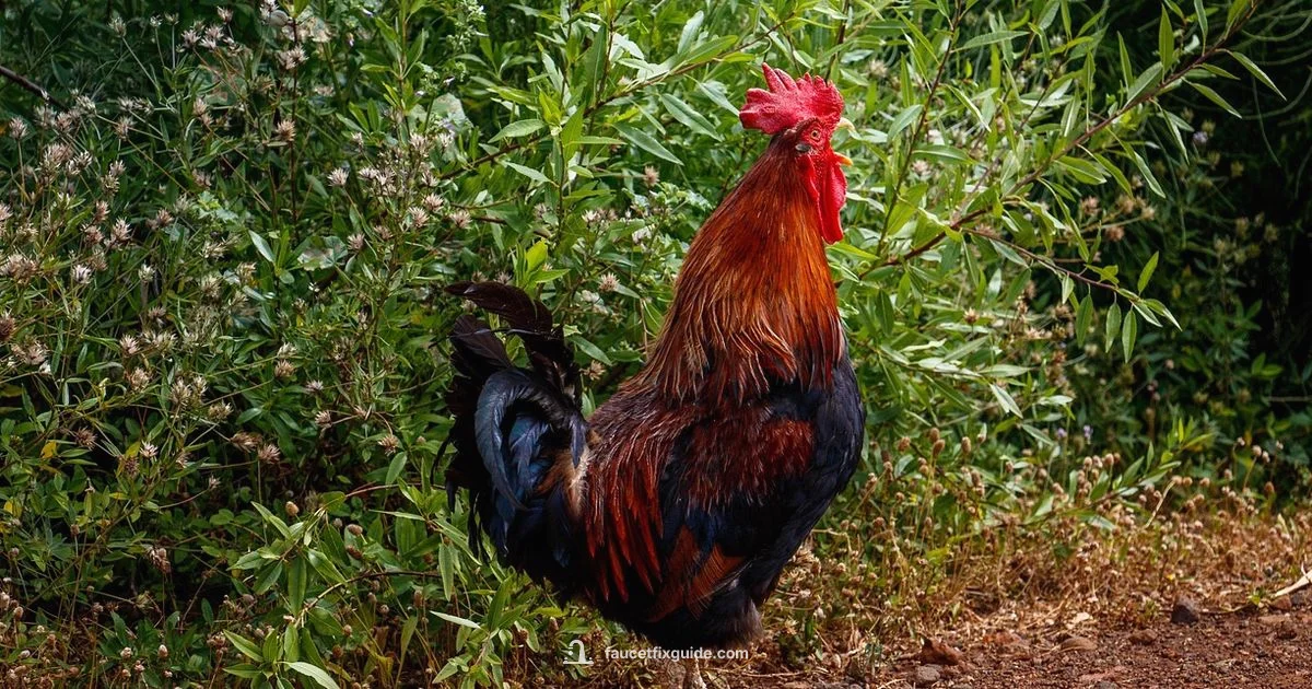 Replacing a Faucet Cost - Faucet Fix Guide