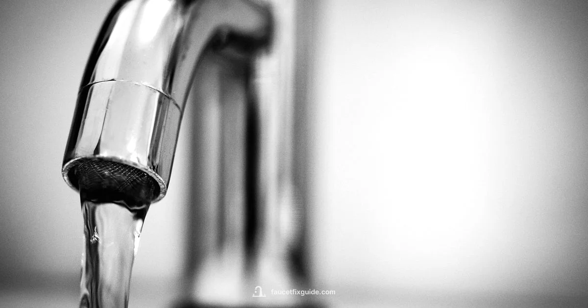 Kitchen Faucet Pricing - Faucet Fix Guide