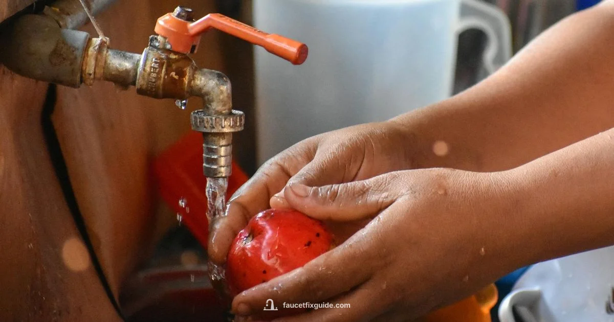 Faucet Odor Fix - Faucet Fix Guide