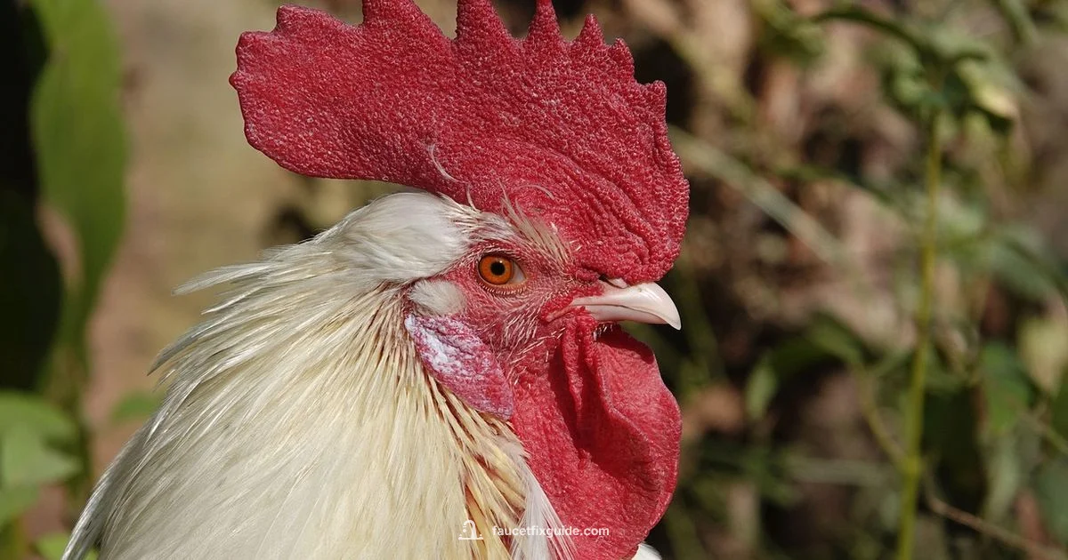 Are Faucet Heads Universal - Faucet Fix Guide