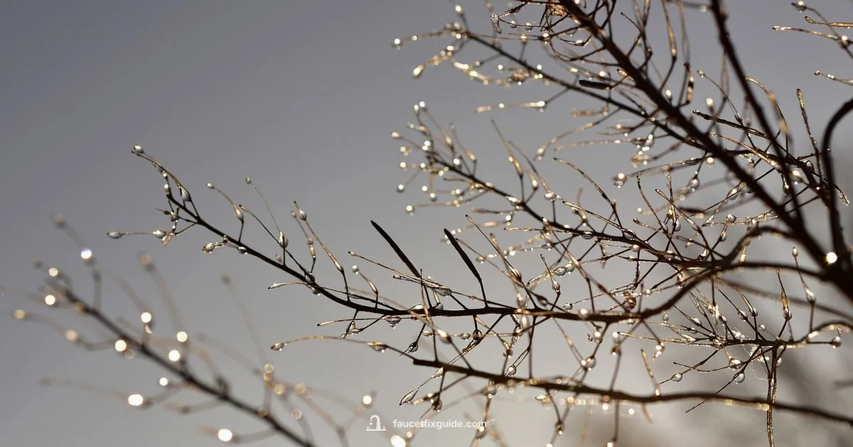 Drip to Prevent Freeze - Faucet Fix Guide