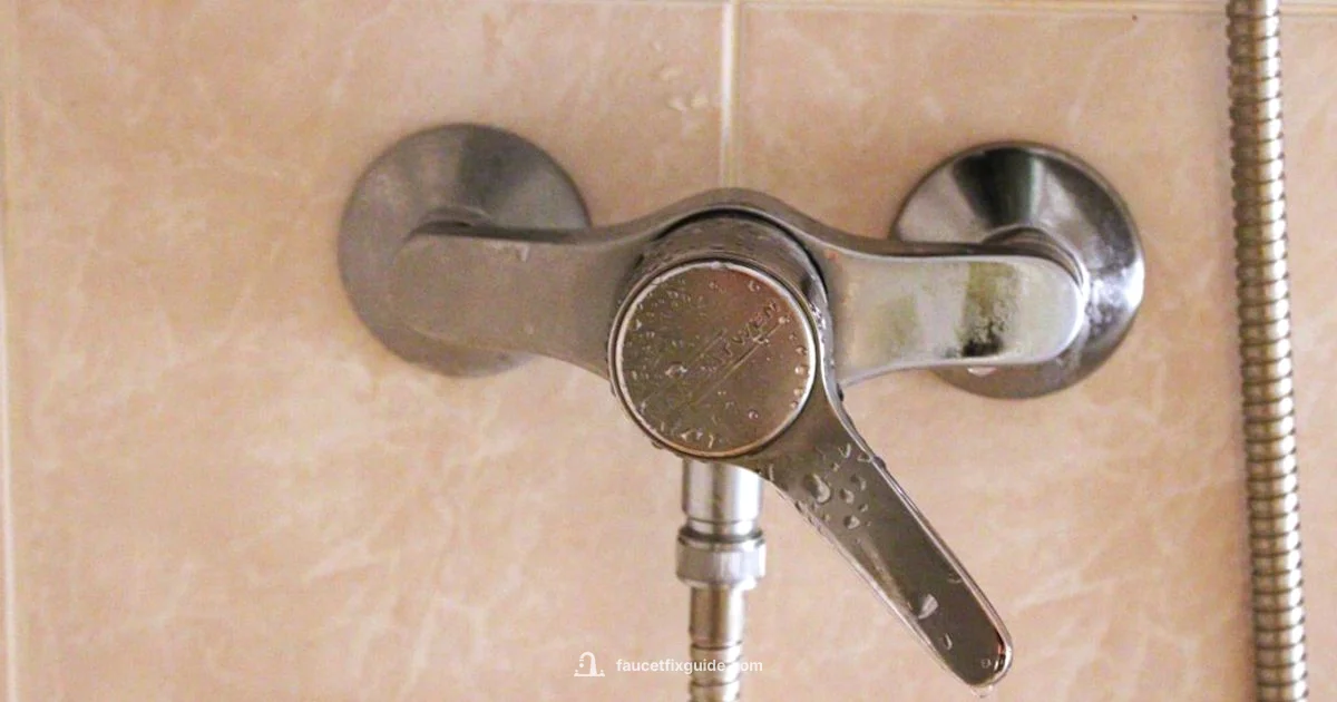 Faucet Change-Out Tool Guide - Faucet Fix Guide