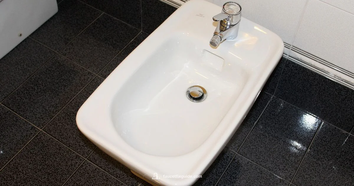 Faucet vs Bidet - Faucet Fix Guide