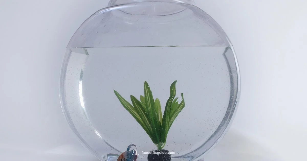 Tap Safety Guide - Faucet Fix Guide