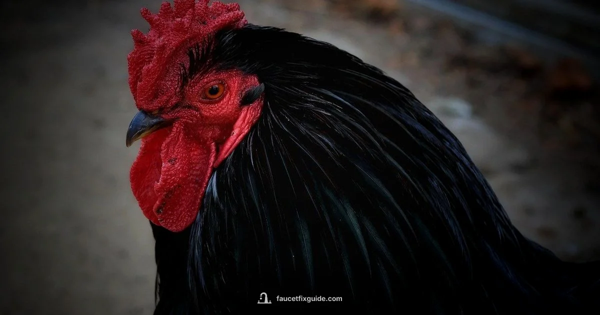Faucet Leak Fix - Faucet Fix Guide