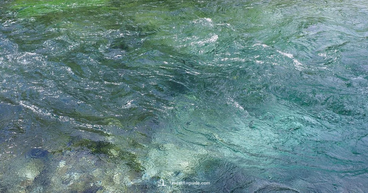 Tap Water Troubleshoot - Faucet Fix Guide