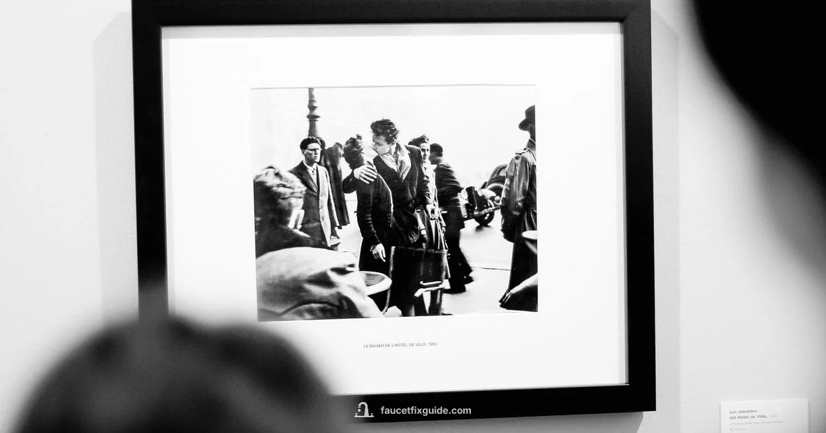 Black Faucet Finish - Faucet Fix Guide