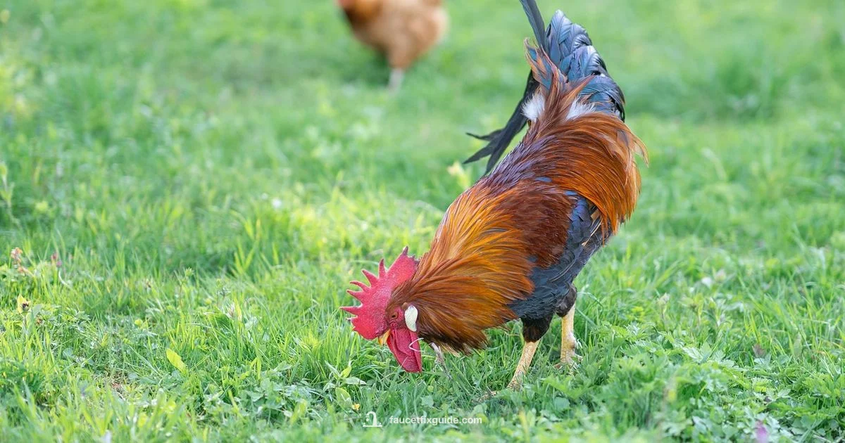 Slow Faucet Fix - Faucet Fix Guide