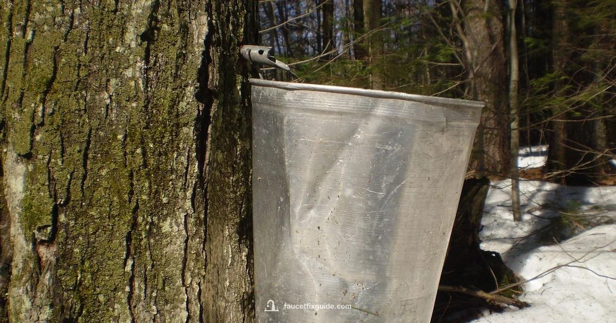 Winter Sap Tapping - Faucet Fix Guide