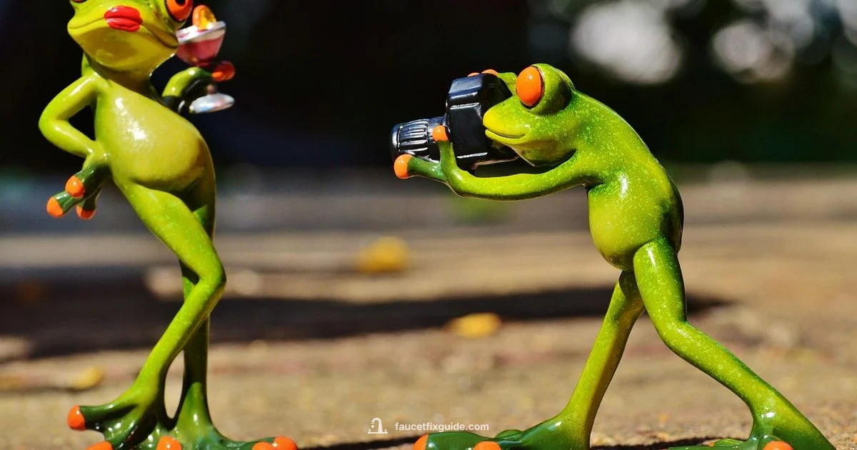 What Are Faucets - Faucet Fix Guide