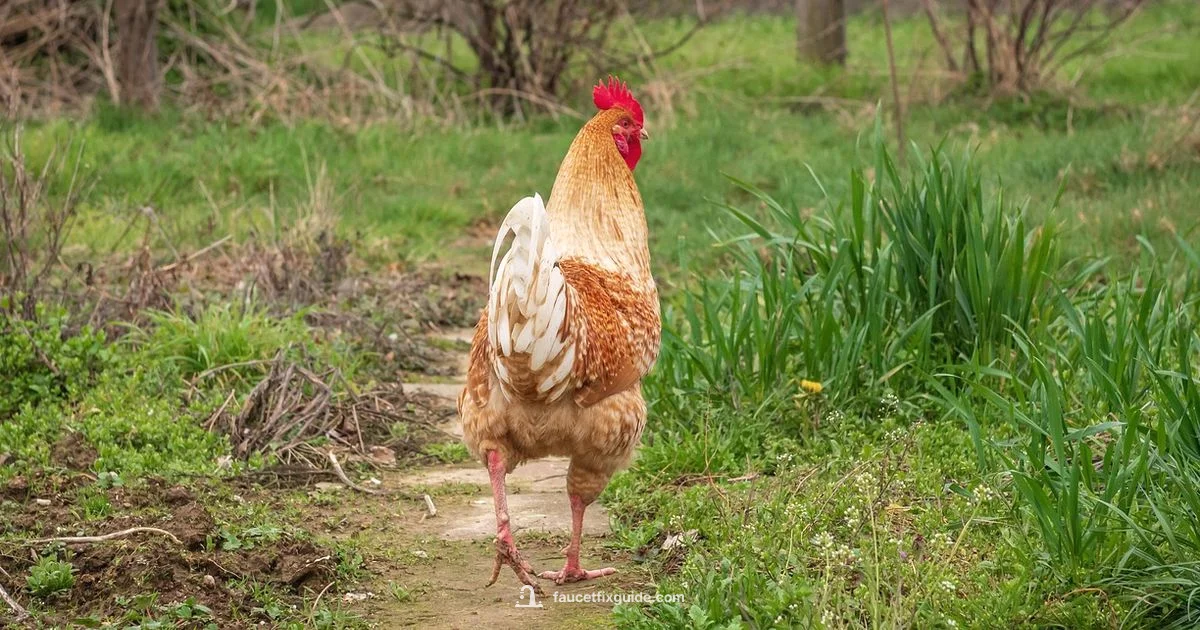 Spout Guide - Faucet Fix Guide