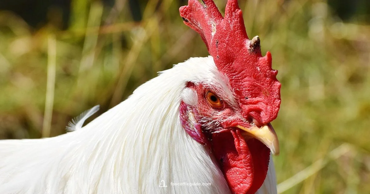 Faucet Troubleshooting - Faucet Fix Guide