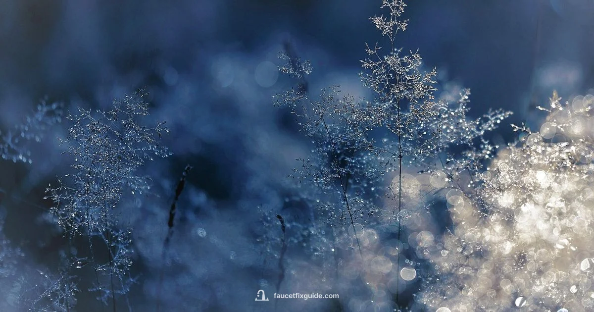 Frozen Faucet Check - Faucet Fix Guide