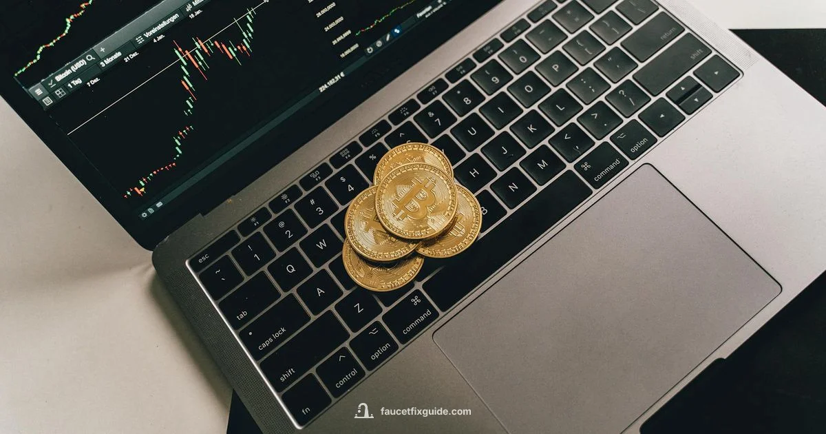 Faucet Pay Explained - Faucet Fix Guide