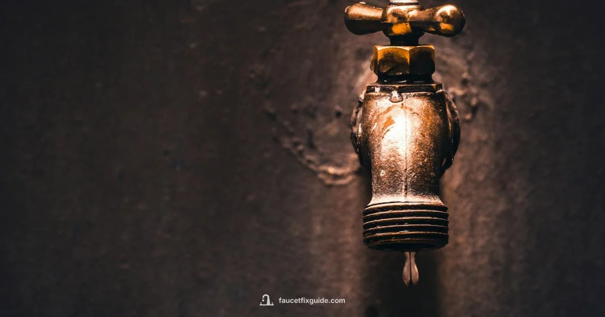 AERATOR REASSEMBLY GUIDE - Faucet Fix Guide