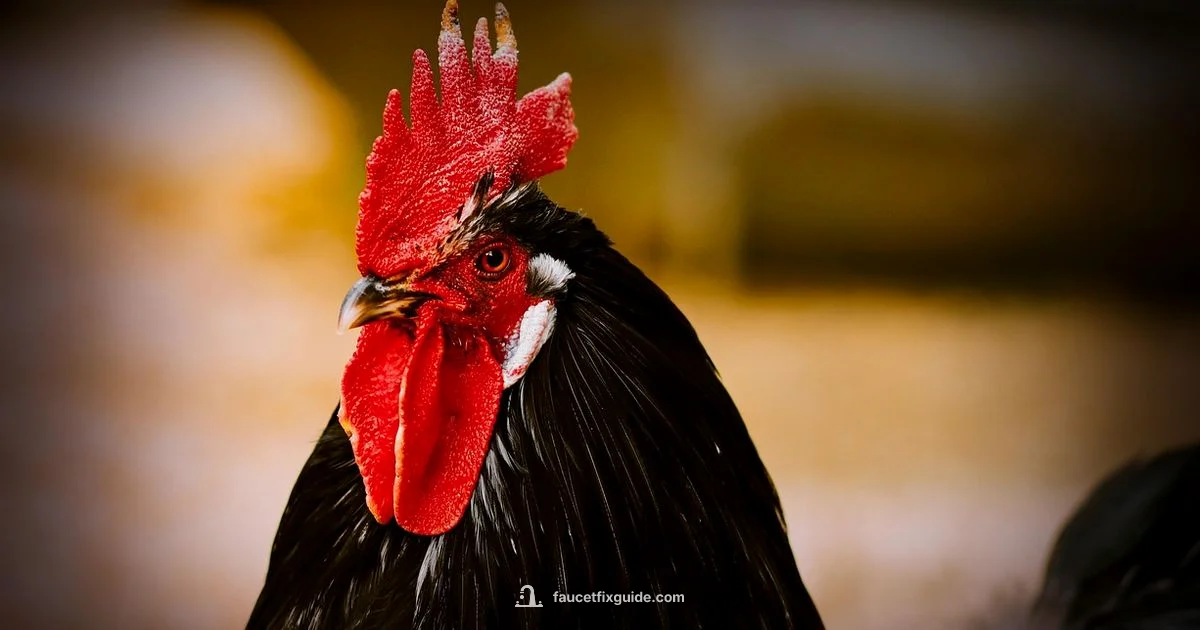 Clean Faucet Head - Faucet Fix Guide