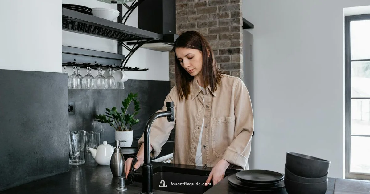 Faucet Removal Guide - Faucet Fix Guide