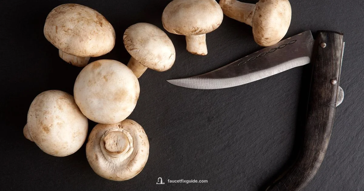 Tap Price Guide - Faucet Fix Guide