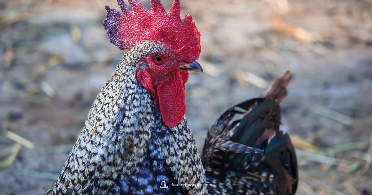 Faucet Aerator Guide - Faucet Fix Guide