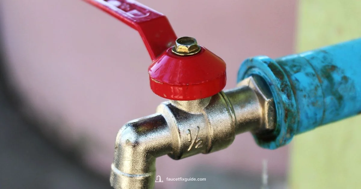 Winter Faucet Drip Guide - Faucet Fix Guide