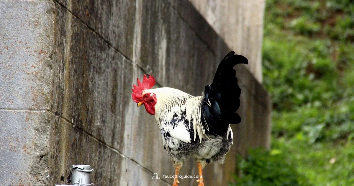 Spout or Sprout - Faucet Fix Guide