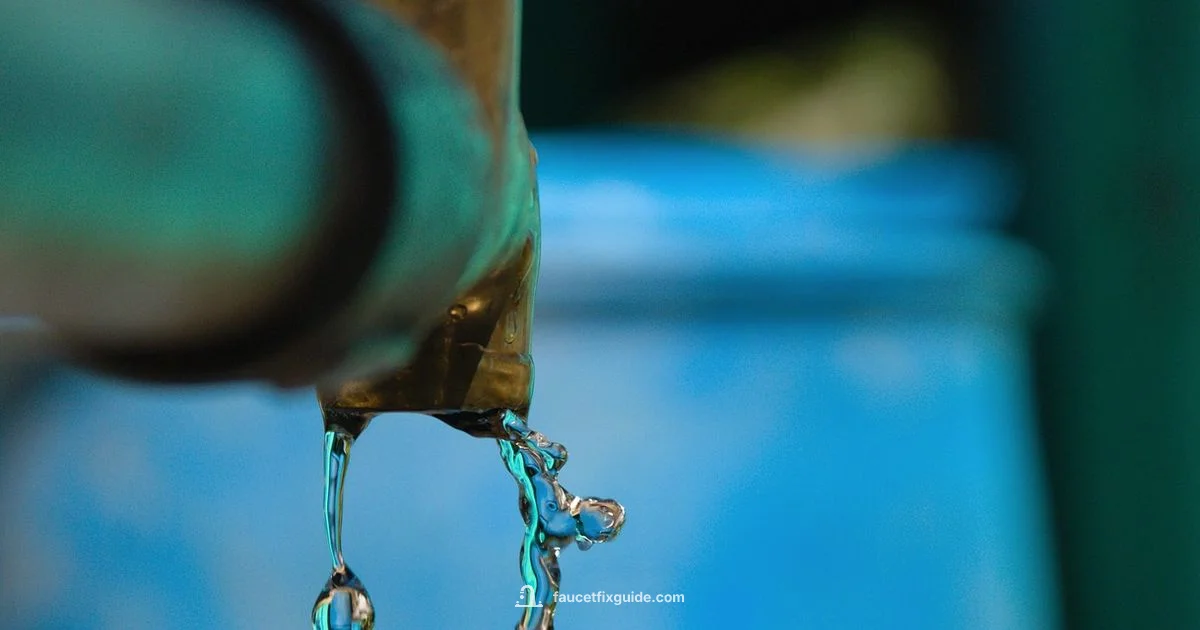 Best Faucet Brands - Faucet Fix Guide