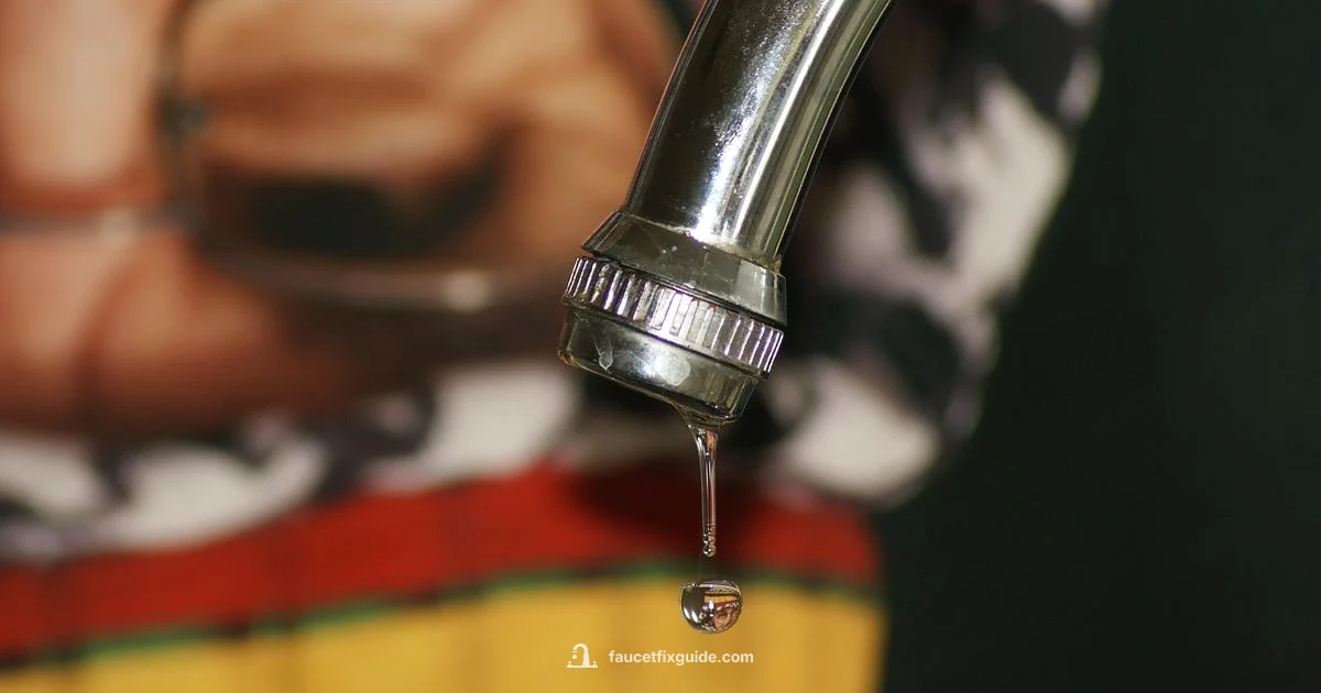 Faucet Leak Fix - Faucet Fix Guide