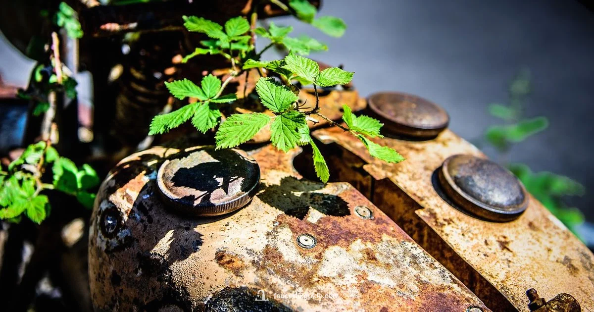 Faucet Corrosion Prevention - Faucet Fix Guide