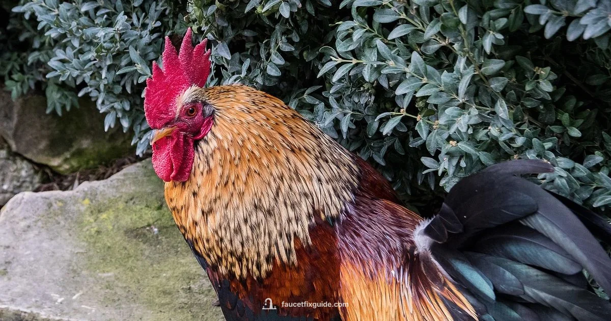 Faucet Protectors - Faucet Fix Guide