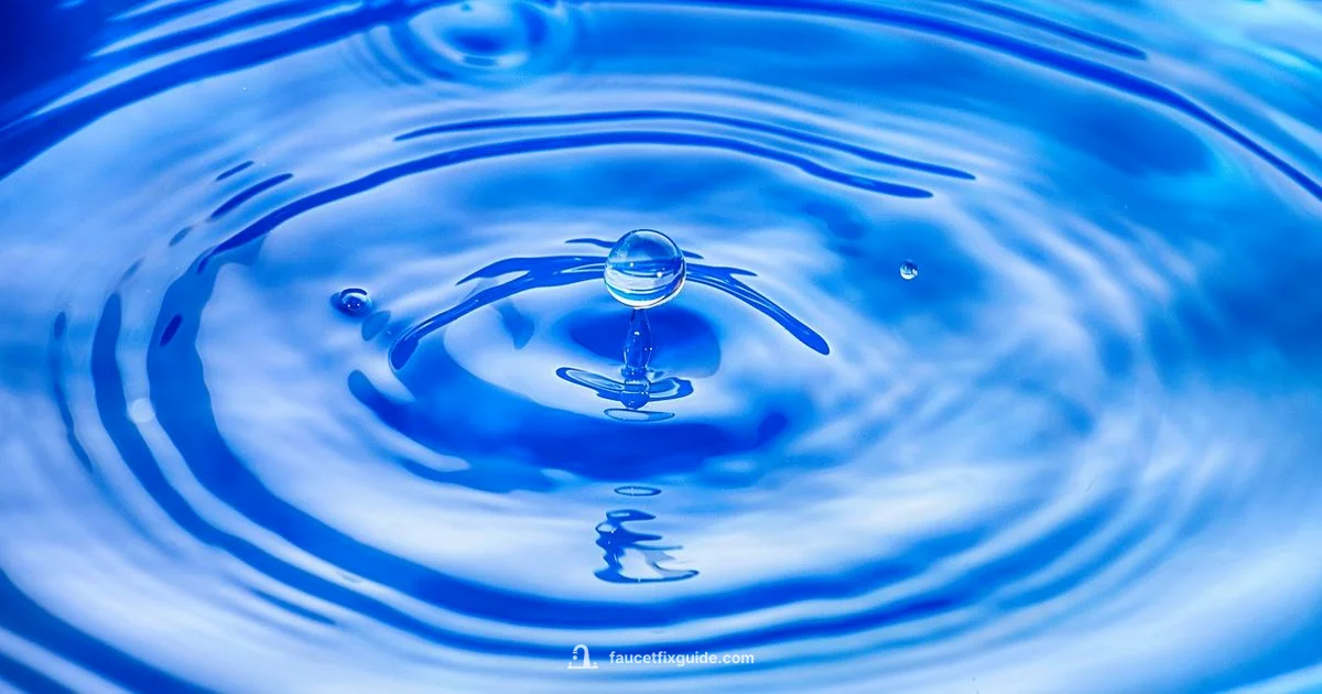 Faucet Joint Guide - Faucet Fix Guide