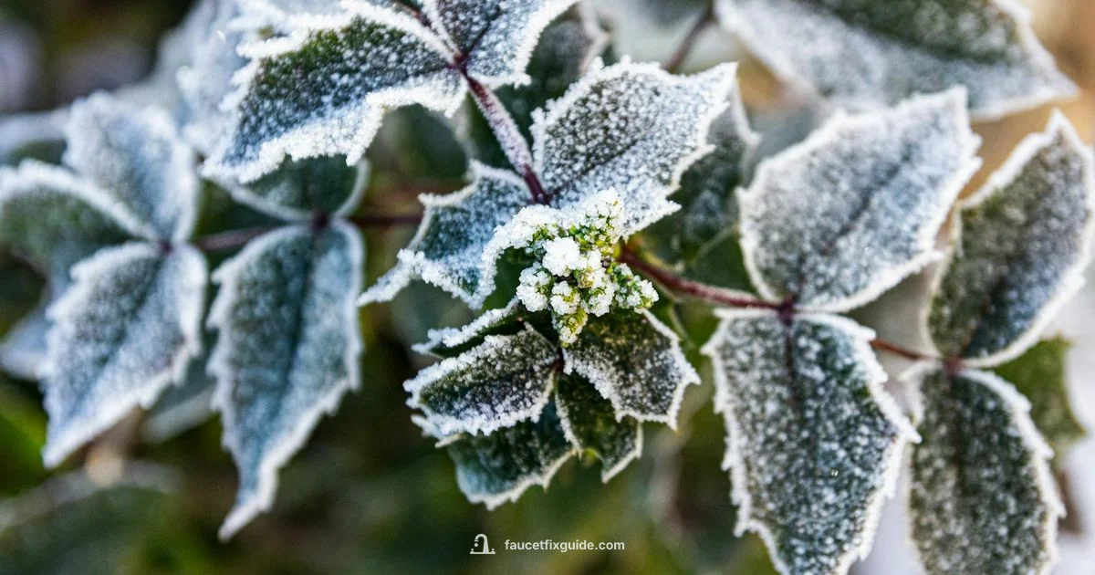 Weather Wise Faucets - Faucet Fix Guide