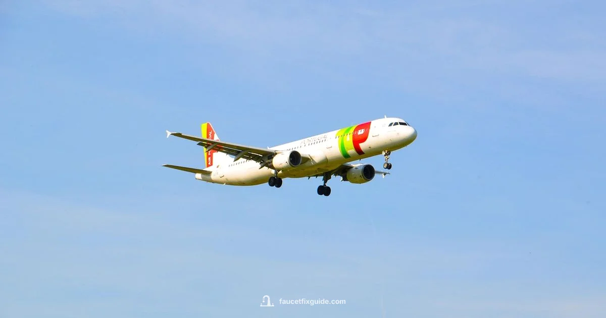 Tap Air Portugal Review - Faucet Fix Guide