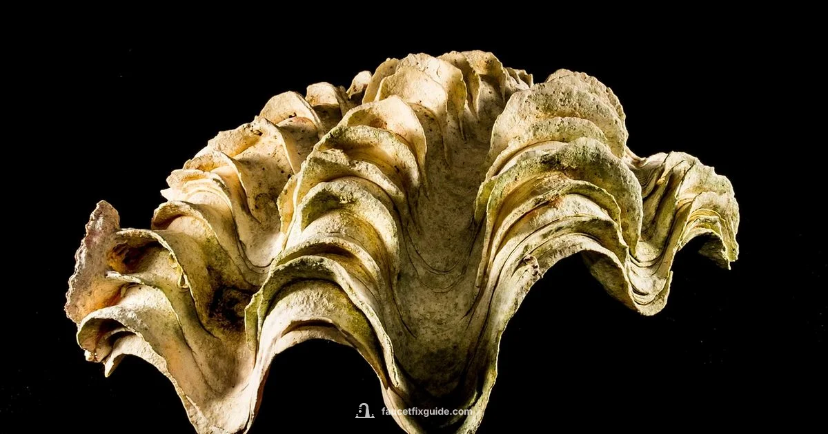 Faucet Limescale Fix - Faucet Fix Guide